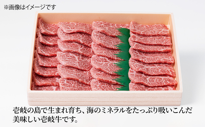 ステーキ 人気 和牛  壱岐牛 希少 柔らかい やわらかい 贈り物 ギフト  肉