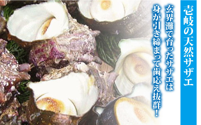 人気 新鮮 海鮮 特産品 贈り物 ギフト   魚介 ごはんのお供 朝食 昼食 夕