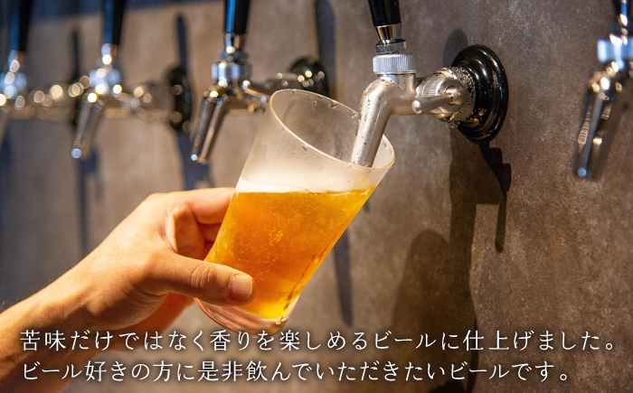 ビール お酒 酒 ビア クラフト セット プレゼント ギフト 贈り物 手土産