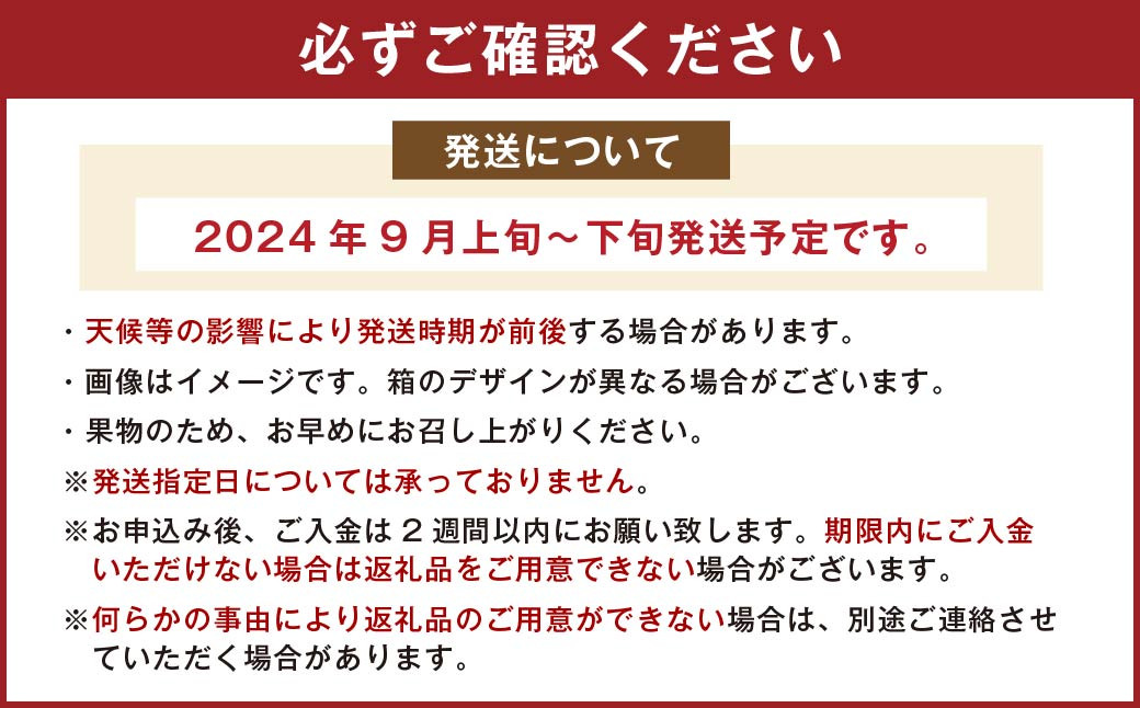 福岡県産 極早生みかん・早味かん 約2kg 果物 くだもの フルーツ 柑橘 かんきつ 【2024年9月上旬～9月下旬発送予定】