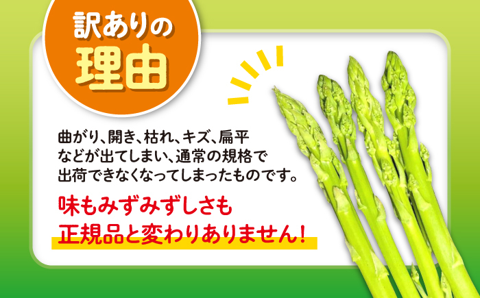 野菜 アスパラ 新鮮 美味しい おいしい 食べ応え