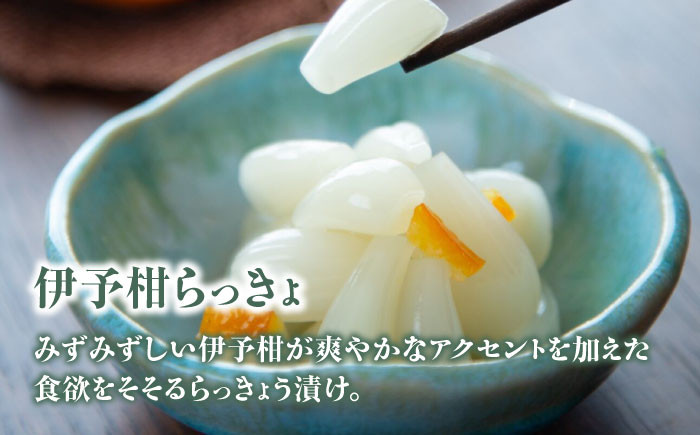 愛媛混ぜご飯の素とお漬物セット