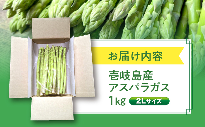 野菜 アスパラ Lサイズ 新鮮 美味しい おいしい 食べ応え