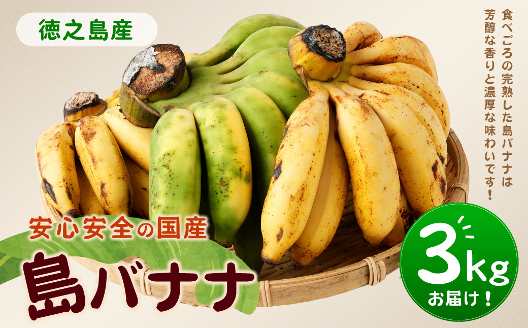 【鹿児島県天城町】徳之島子宝バナナ 3kg 島バナナ