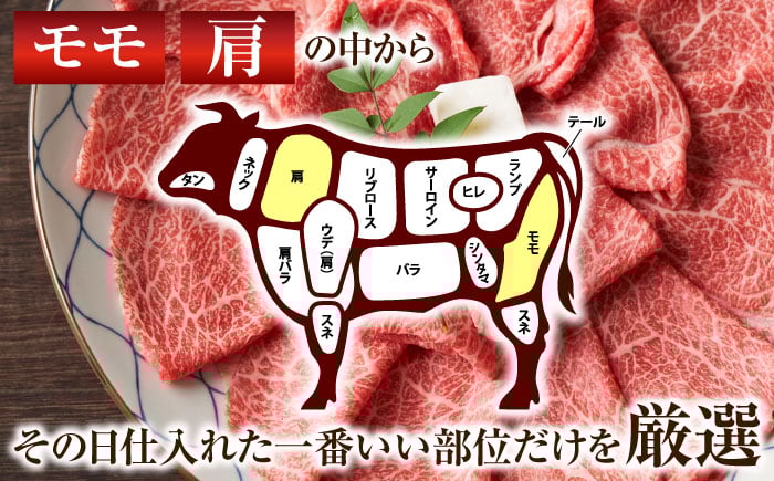 牛肉 しゃぶしゃぶ すき焼き 長崎和牛 赤身