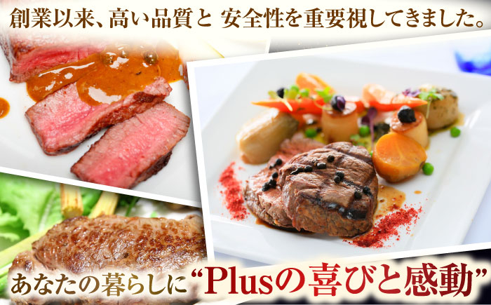 わずか3％ほどの貴重部位！ヒレ ステーキをお届け！牛肉 ステーキ ヒレ 肉 お肉