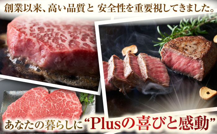 長崎和牛 赤身ステーキ 牛肉 国産 もも ももすてーき ステーキ 赤身