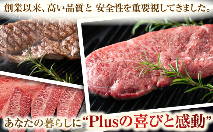 冷凍 ステーキ ミスジ みすじ 希少部位 ブランド牛 長崎和牛 国産 和牛