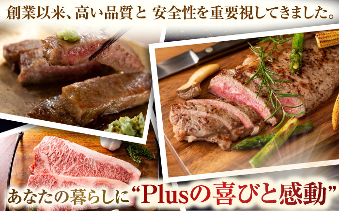 牛肉 和牛 焼き肉 バーベキュー バーベキュー サーロイン さーろいん 和牛