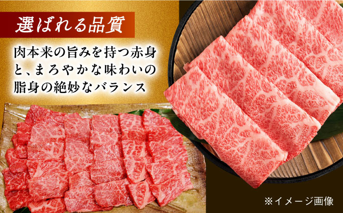 肉 牛 和牛 ロース 焼肉 焼き肉 すき焼き しゃぶしゃぶ 食べ比べ 西海市 長崎 九州 定期便