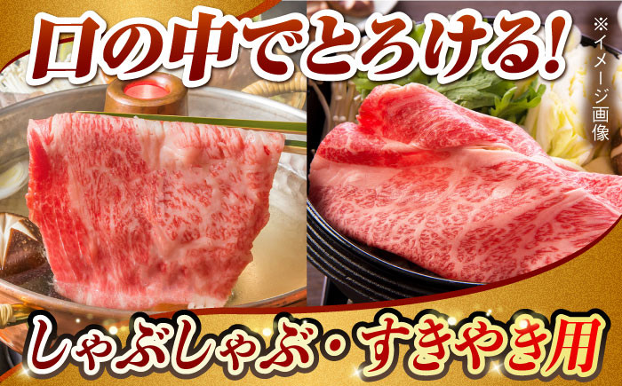 肉 牛 和牛 ロース 焼肉 焼き肉 すき焼き しゃぶしゃぶ 食べ比べ 西海市 長崎 九州 定期便