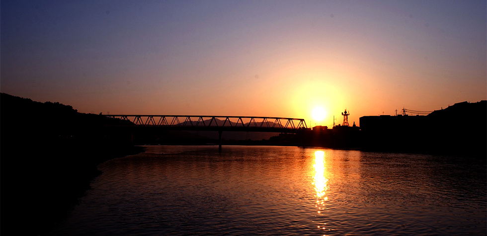 和歌山県橋本市は、柿の一大産地です。