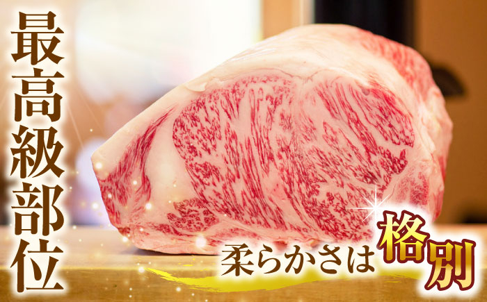 牛肉 和牛 焼き肉 バーベキュー バーベキュー サーロイン さーろいん 和牛