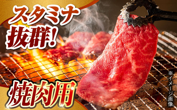 肉 牛 和牛 ロース 焼肉 焼き肉 すき焼き しゃぶしゃぶ 食べ比べ 西海市 長崎 九州 定期便
