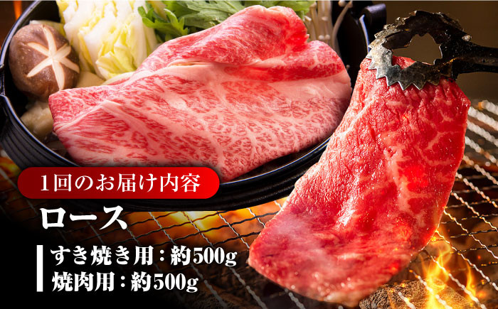 肉 牛 和牛 ロース 焼肉 焼き肉 すき焼き しゃぶしゃぶ 食べ比べ 西海市 長崎 九州 定期便