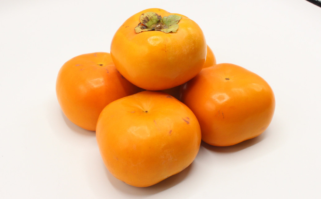 秋のフルーツの王様・ブランド柿「秋王」化粧箱 約1.75kg【2025年10月下旬~11月下旬発送予定】