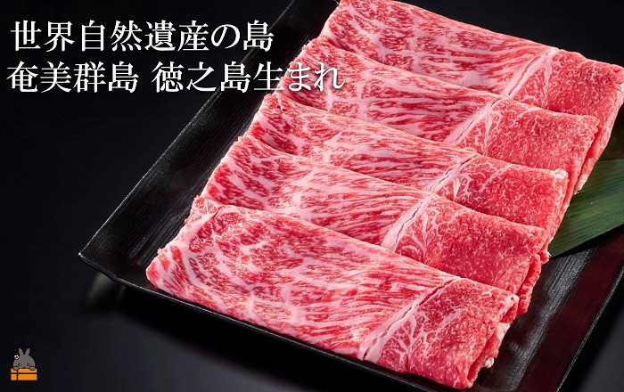 世界が認めた自然が残る。奄美群島徳之島生まれの牛さんです。