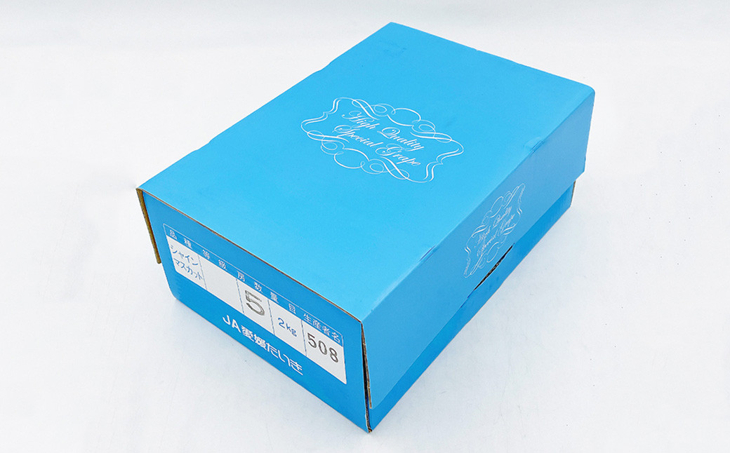 内子町産 シャインマスカット ムジ 3～5房入 約2kg