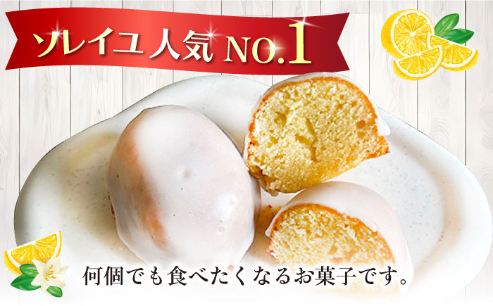 レモンケーキ10個