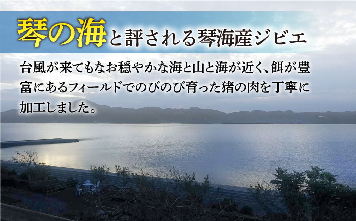 イノシシ肉 猪 イノシシ いのしし ジビエ 小分け 焼肉 カレー 猪汁 鍋 長崎