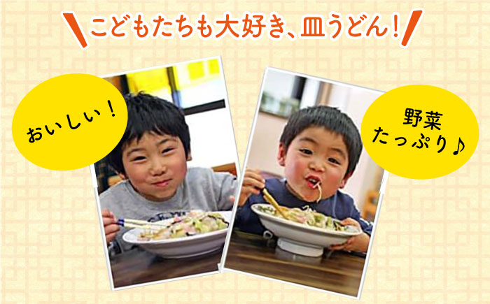 皿うどん 麺 麺類 スープ 冷凍 小分け 具付き 簡単調理 ギフト 長崎