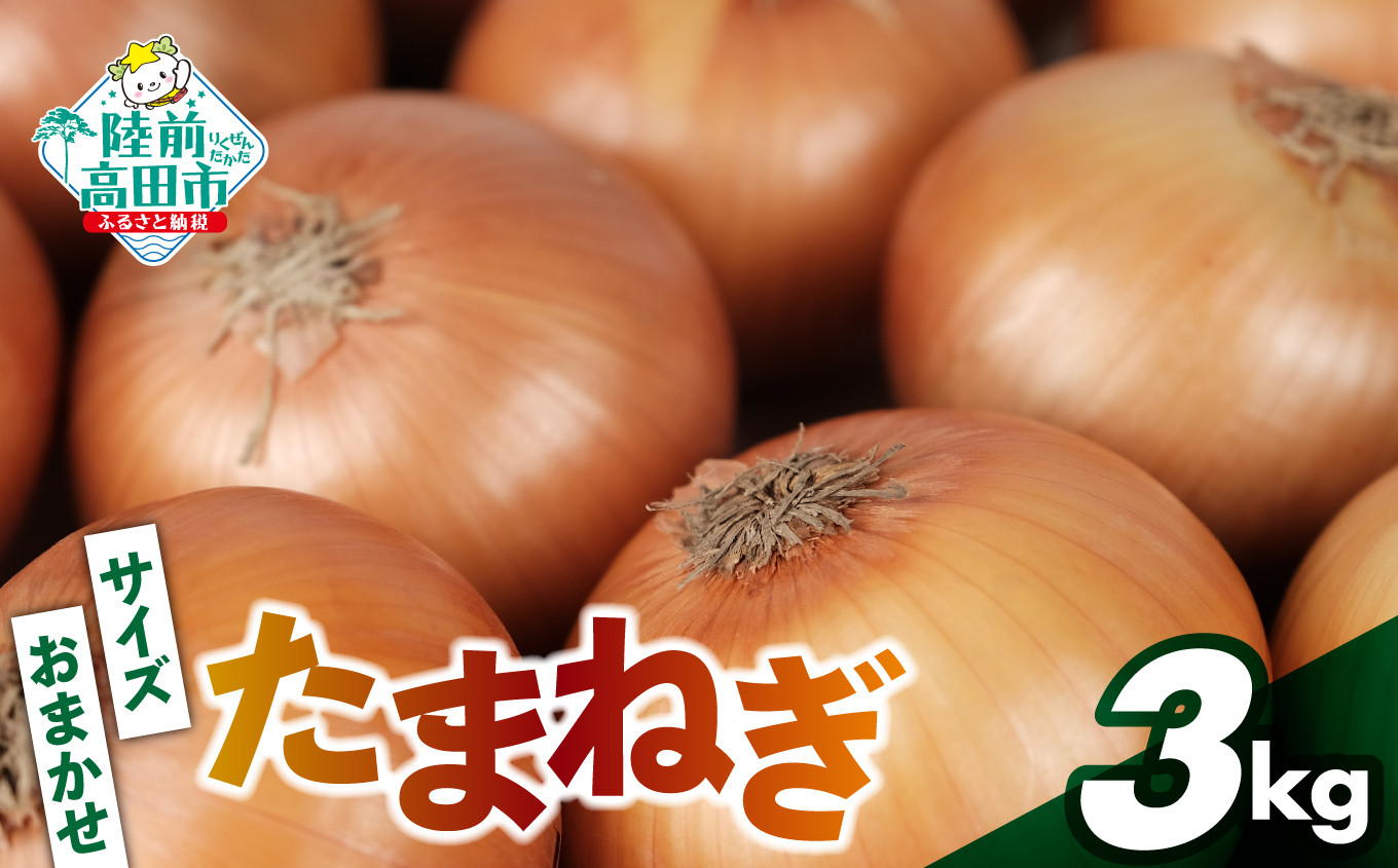 約3kgのお届けです