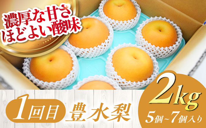 果樹園からの旬のくだもの定期便【梨（豊水・新高）・キウイフルーツ】