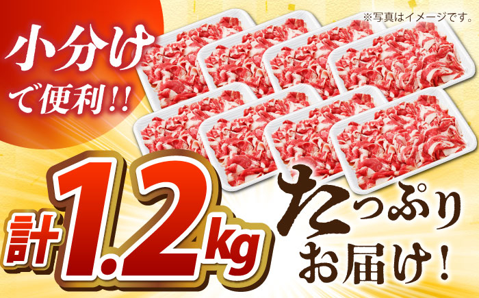 佐賀牛 牛肉 切り落とし 切り落とし肉 肉じゃが カレー 鍋 普段使い 日用品 小分け