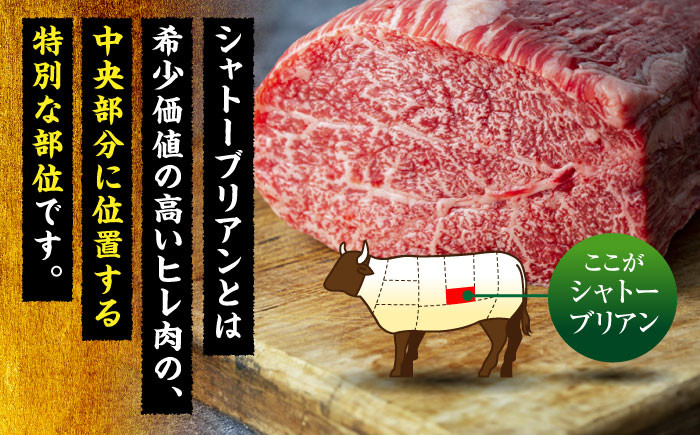 ステーキ肉 ヒレステーキ ヒレ肉 赤身 和牛