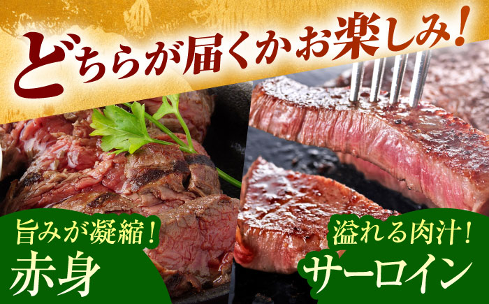 【何が届くかお楽しみ】佐賀牛 ステーキ 600g （サーロイン/赤身） 【がばいフーズ】A5ランク 佐賀牛 [HCS079]