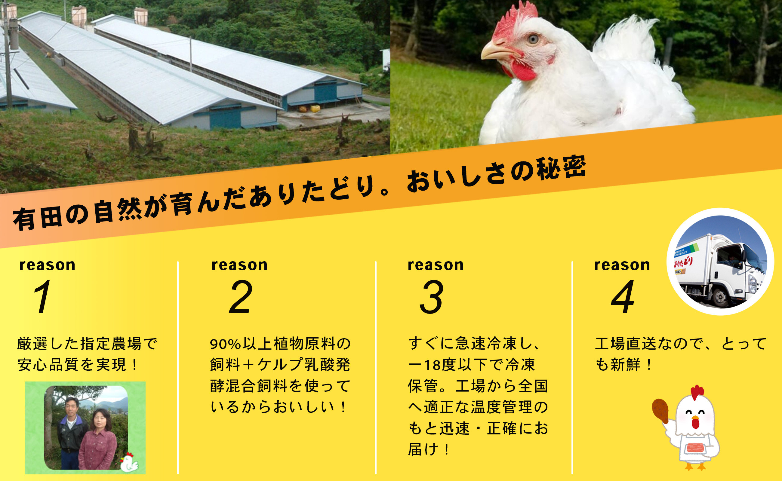 有田の自然が育んだ美味しさの秘密。