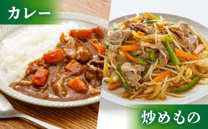 佐賀牛 牛肉 切り落とし 切り落とし肉 肉じゃが カレー 鍋 普段使い 日用品 小分け