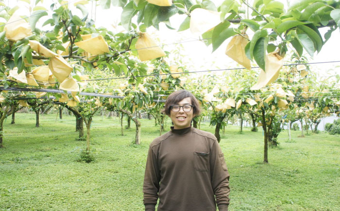 果樹園からの旬のくだもの定期便【梨（豊水・新高）・キウイフルーツ】