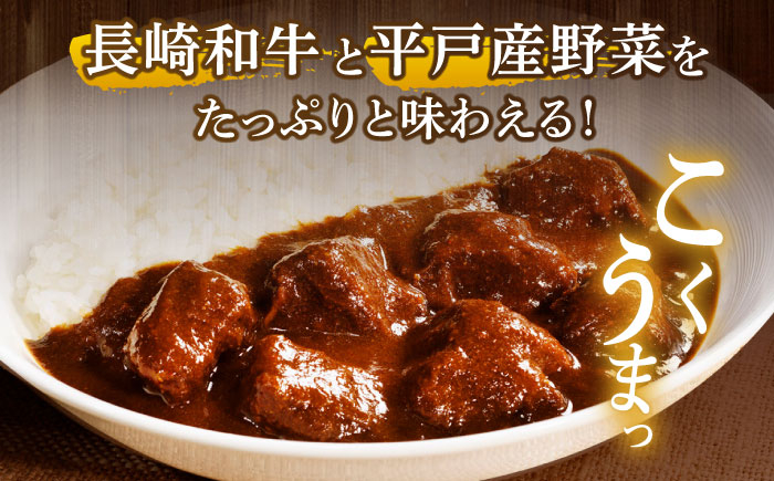 【カレー好きの為のアソートセット】カレー工房NVfoodsのカレー5種詰め合わせセット 