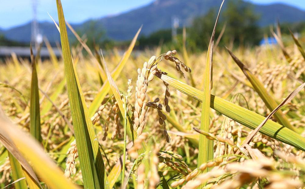 小樽の地酒 田中酒造 バラエティセット 5種(300ml×5本) 計1.5L