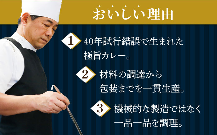 【カレー好きのためのアソートセット】カレー工房NVfoodsのカレー5種（12袋）詰め合わせセット 