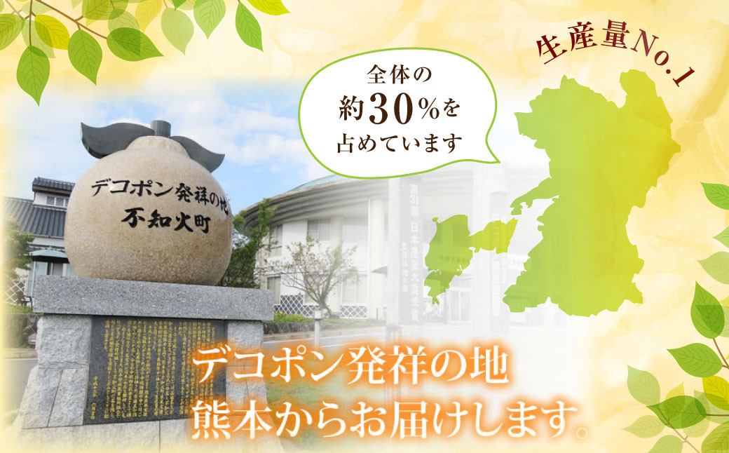 訳ありデコみかん 約5kg 箱込 （内容量 約4.5kg）