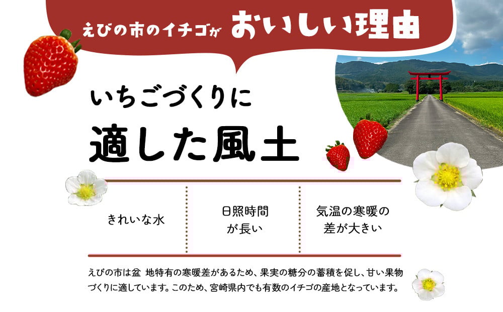 イチゴ農家のけずりいちご約100g×4カップ