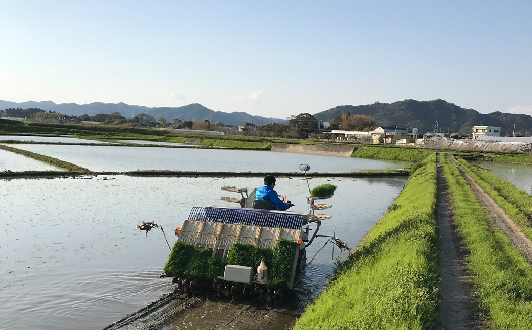 JA安房鴨川水稲研究会の満田さん～田植えの様子～