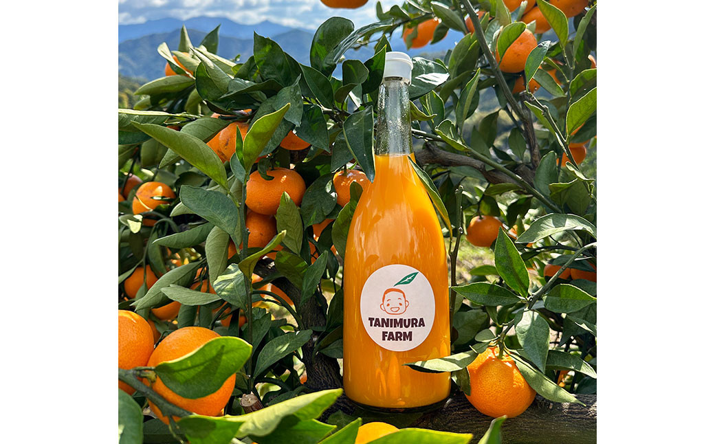 みかんジュースコンクール金賞 みかん坊やのもぎたてみかんジュース 1本 720ml みかん 蜜柑 かんきつ 柑橘（561）