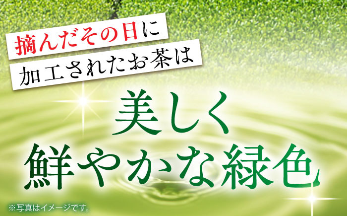 お茶 緑茶 ティーバッグ 八女茶 人気