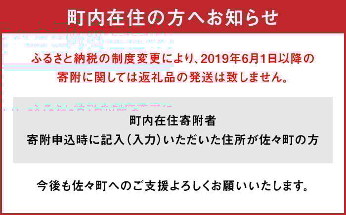 角煮 角煮まんじゅう 岩崎本舗 長崎 名産品 特産品 レンジ 簡単 調理 大人気 おすすめ 冷凍 保存 包装 小分け 温めるだけ