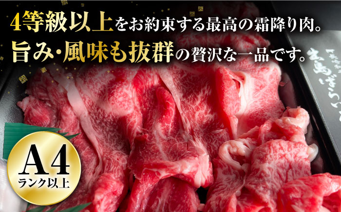 牛 牛肉 和牛 国産 切り落とし 赤身 肩ロース ロース バラ すき焼き 焼肉 料理 万能 長崎 にく 肉 牛丼 炒め物 訳あり