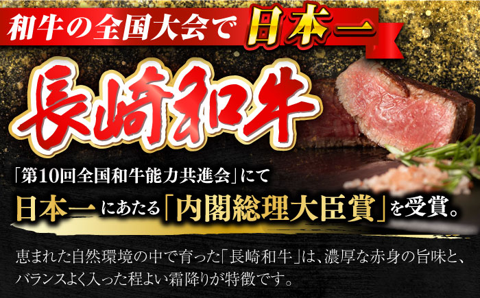 肉 にく 牛肉 和牛 国産牛 国産 長崎県産 ヒレ ステーキ 焼肉 バーベキュー パーティー お祝い 希少 冷凍 長崎