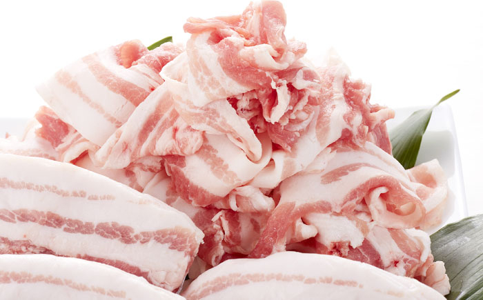 長崎県産 競り美豚 バラ 切り落とし 大容量 炒め物 鍋 お好み焼き 小分け 豚 ブタ ぶた 豚肉 豚にく ぶたにく ばら 豚丼