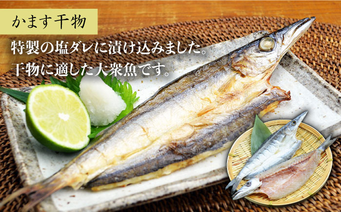 ひもの 干物 からすみ カラスミ 食べ比べ 珍味 高級 訳アリ アソート 定期便 