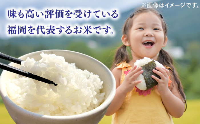  令和6年度産 福岡県桂川町産夢つくし　白米