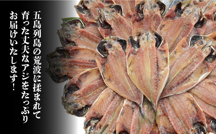 あじ アジ 国産 産地直送 おつまみ 長崎県産 乾物 定期便