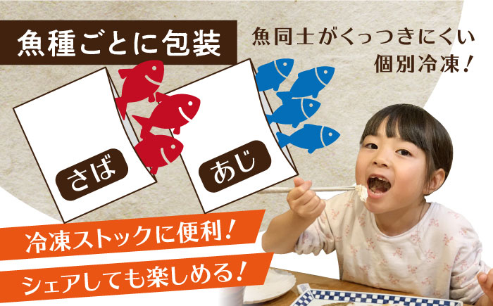 ワケあり 干物 ひもの 長崎 新鮮 おつまみ 晩酌 家庭用 定期便