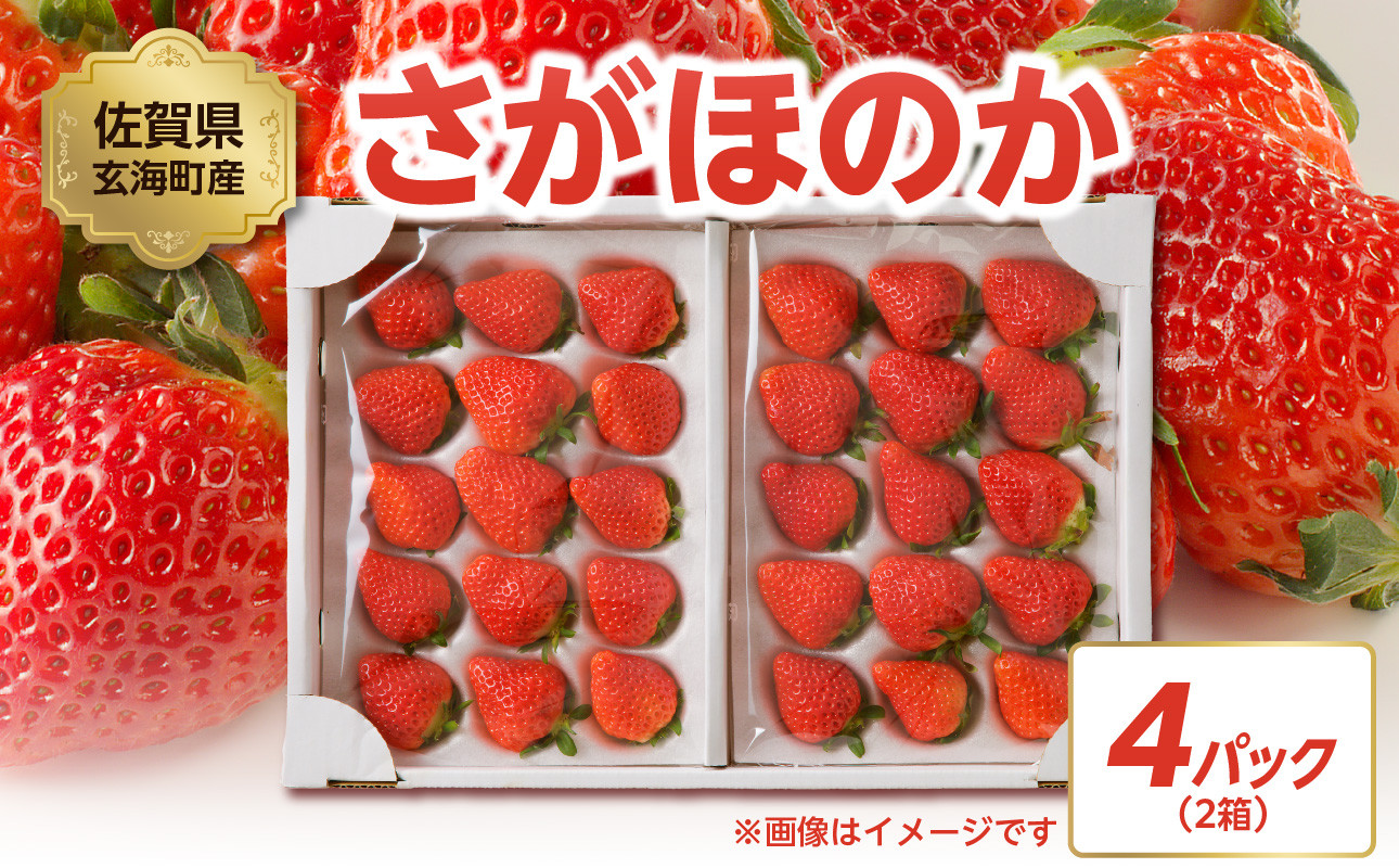 〈予約受付〉渡邉農園 佐賀県玄海町産さがほのか 2箱4パック（1月～4月にお届け）